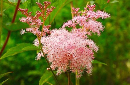 �������� ���������� �������� � �������� �������