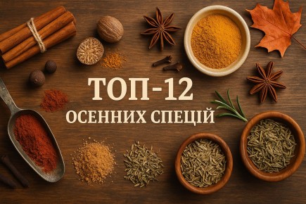 ��� ������ ����� �������� ������� ������: ������� ������� ����������