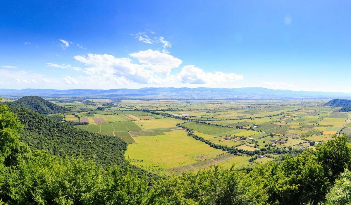 Алазанская долина: Вино, рожденное в ритме природы