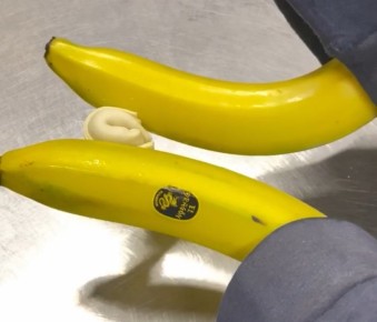 ������ � ���������������: ����������� �� �����