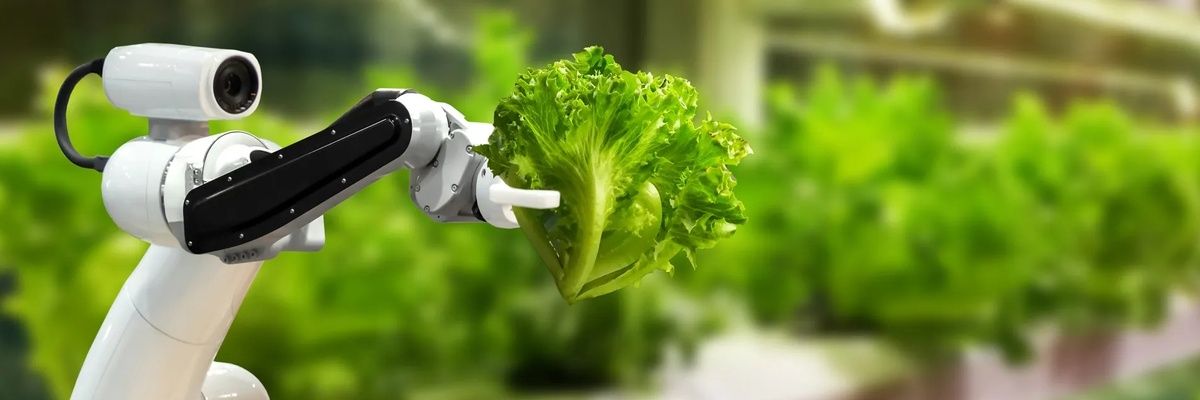 Как новые технологии формируют будущее еды и кулинарии