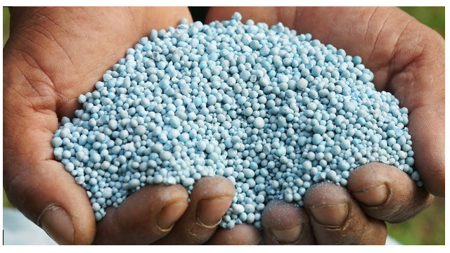 Как определить нехватку кальция или калия у растений и спасти урожай?