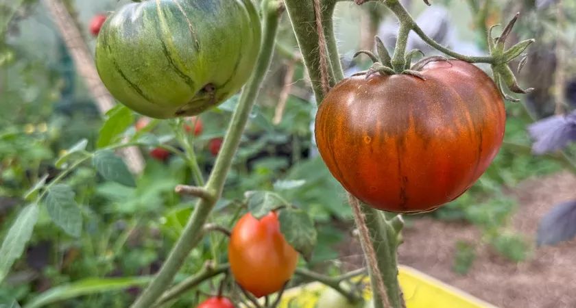 �������� �����: ��������� ������ � ����� ��� ����� ������