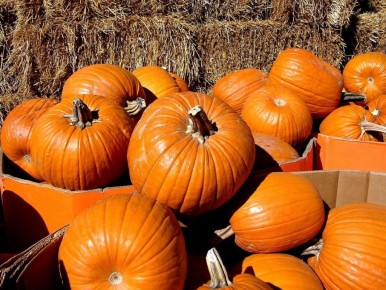 ��� ������� ������ ������� ����� �������� ������� ������� ������