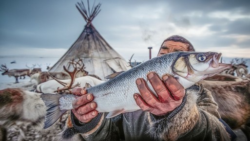 ������� �������� ����: ������ ��� ����� � ��� ��� ������������