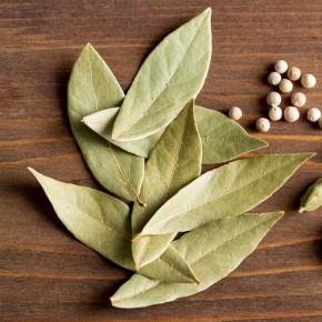 ��� ��������� ������������ �������� ���� � ����� � ��������: ������ ������� �������