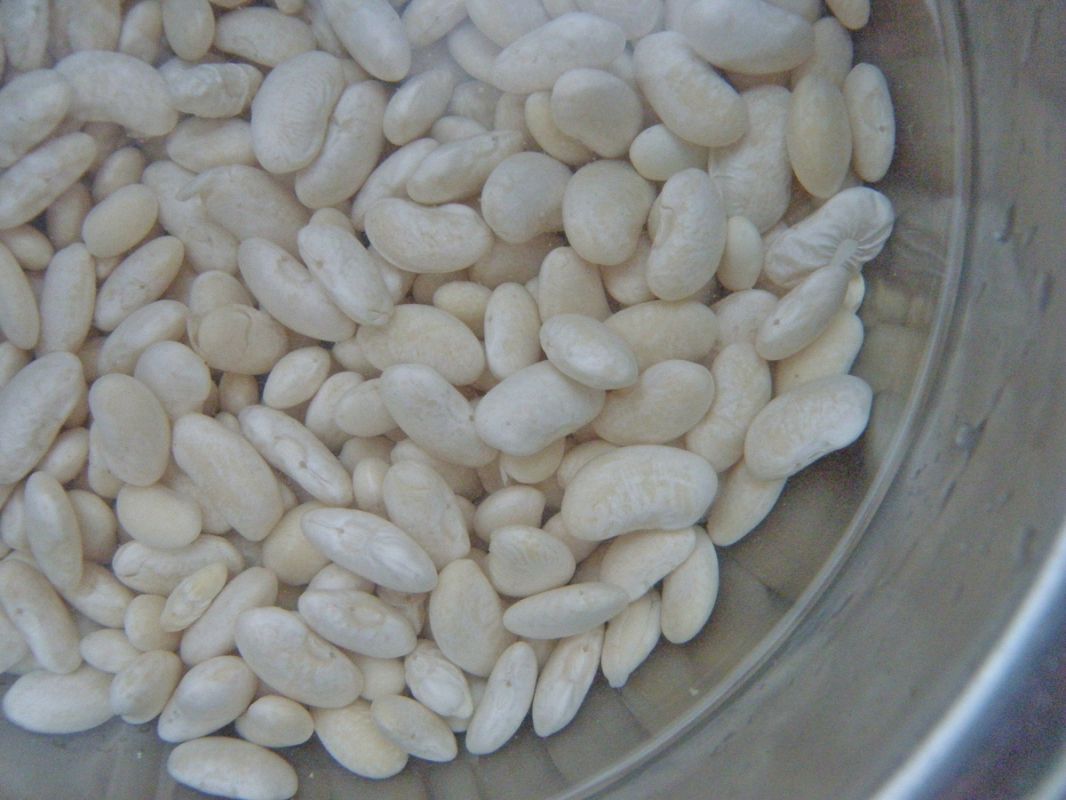 ��������� ��������� ��� � ������� ������������: ������� ��� ������ �����