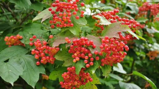 ������: ����� ��������� ��� ������ ���� � ���������� �������� �������