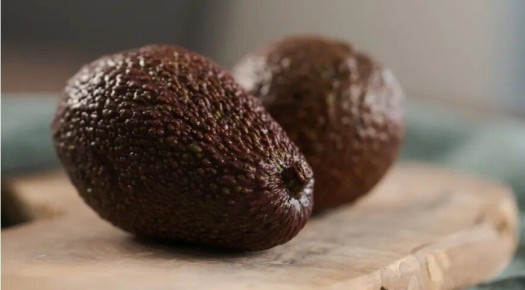 ��������� ������ ���������� �������: ������ � �������