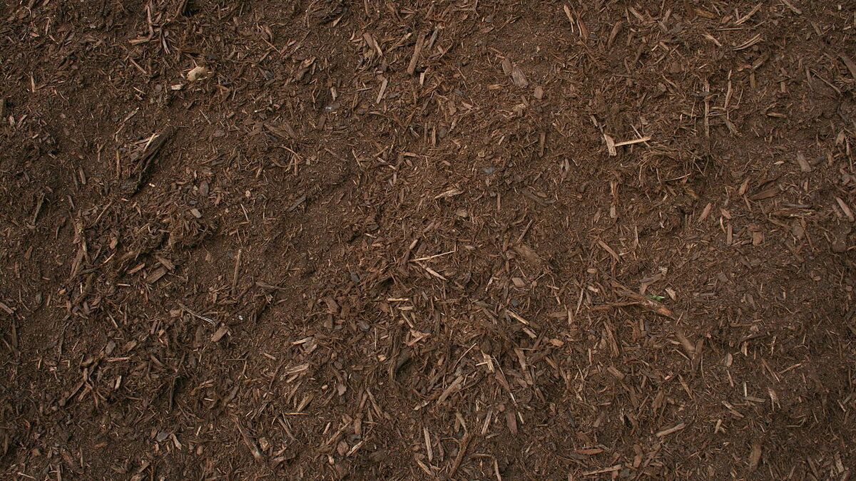 ������ �����: ��� ������� ��� ��������� ��������� � �������������