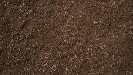 ������ �����: ��� ������� ��� ��������� ��������� � �������������