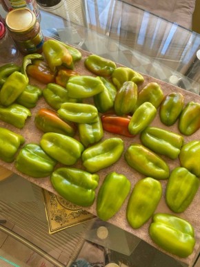 ������� ������ ���������: ��� ������� �������?