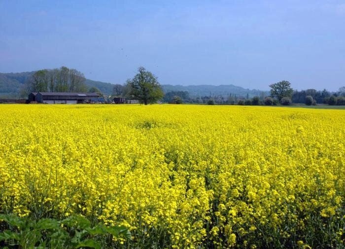 ��� ������������ ����� ����� ���������: ������� ������ ���������