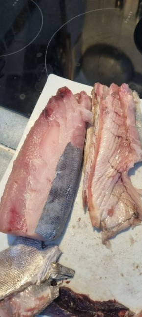 ����� ������: ������������ ����������� ������������ �����