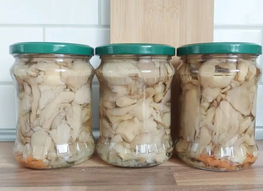 Непревзойденные маринованные вешенки: секреты идеального закуски