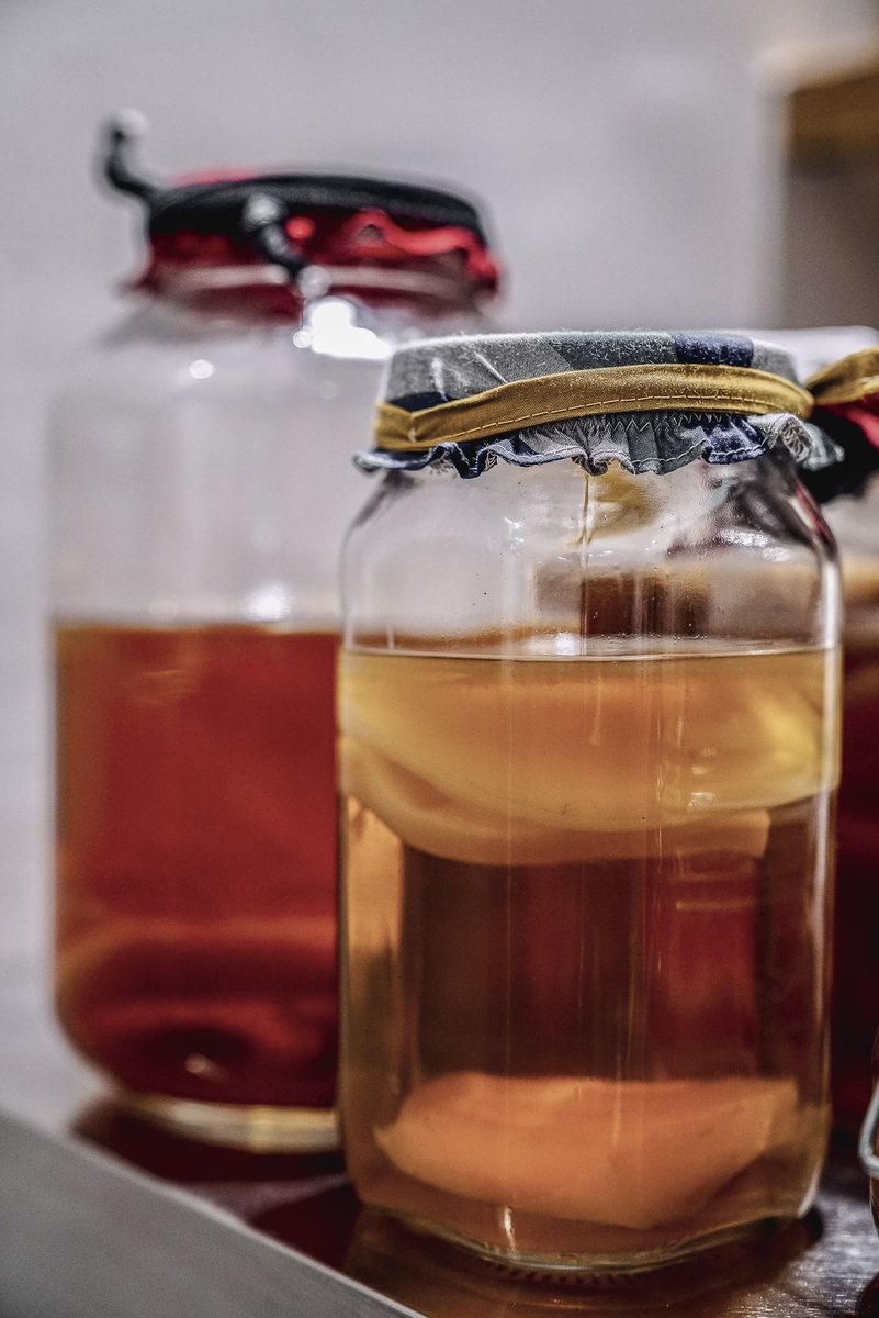 Преимущества чайного гриба: от похудения до улучшения обмена веществ