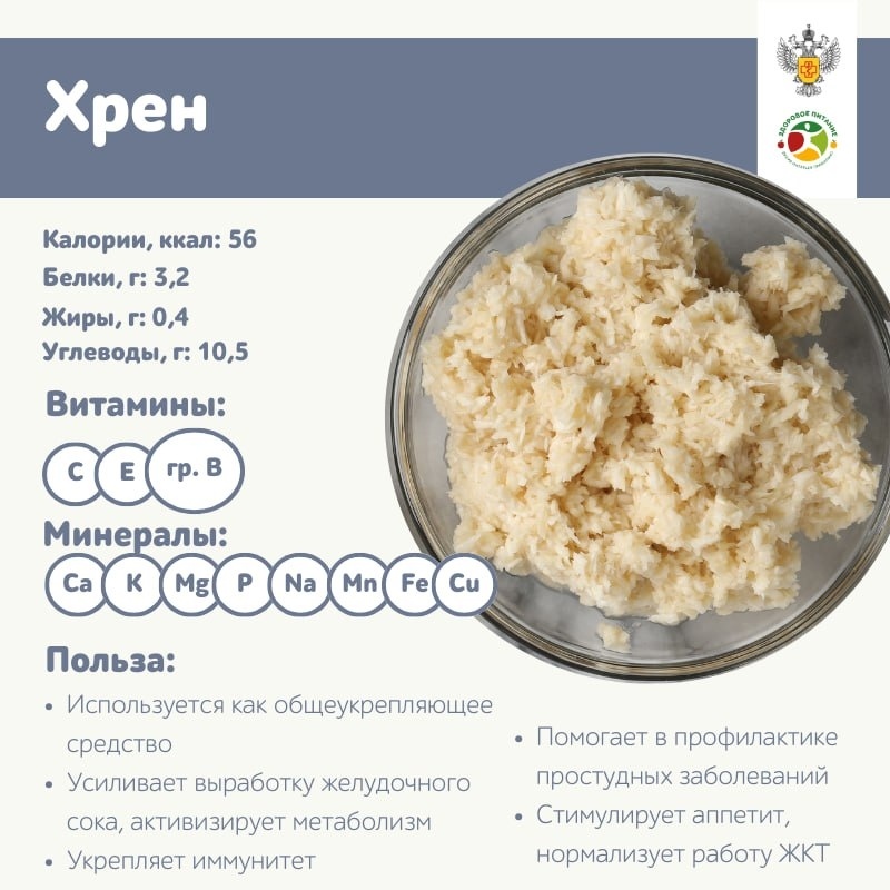 Польза хрена: интересные факты и советы по выбору