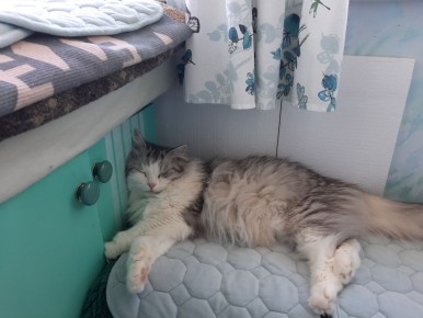 ��� ���� ������ �� ���: ������� ���� � ��������� �����