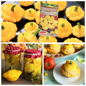 ���������� ���������: ������ ��� ��� ���� �����