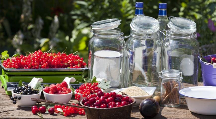 Как приготовить домашние наливки и настойки: секреты и рецепты