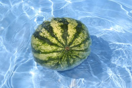 ������ �� ����� ��������� ����� � ����: ������� ����� � ���������� ������������