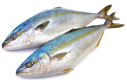 �������: ������ ������ ������� ��� ���� � ��� � ������ �����������