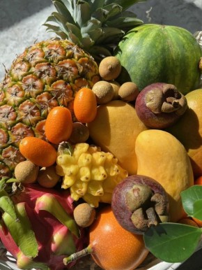 ������������� ������ �������