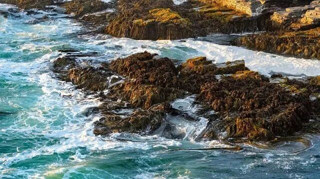 ��� ��������� � ���������� ����� ������ ��������� ��� ��������� ���������