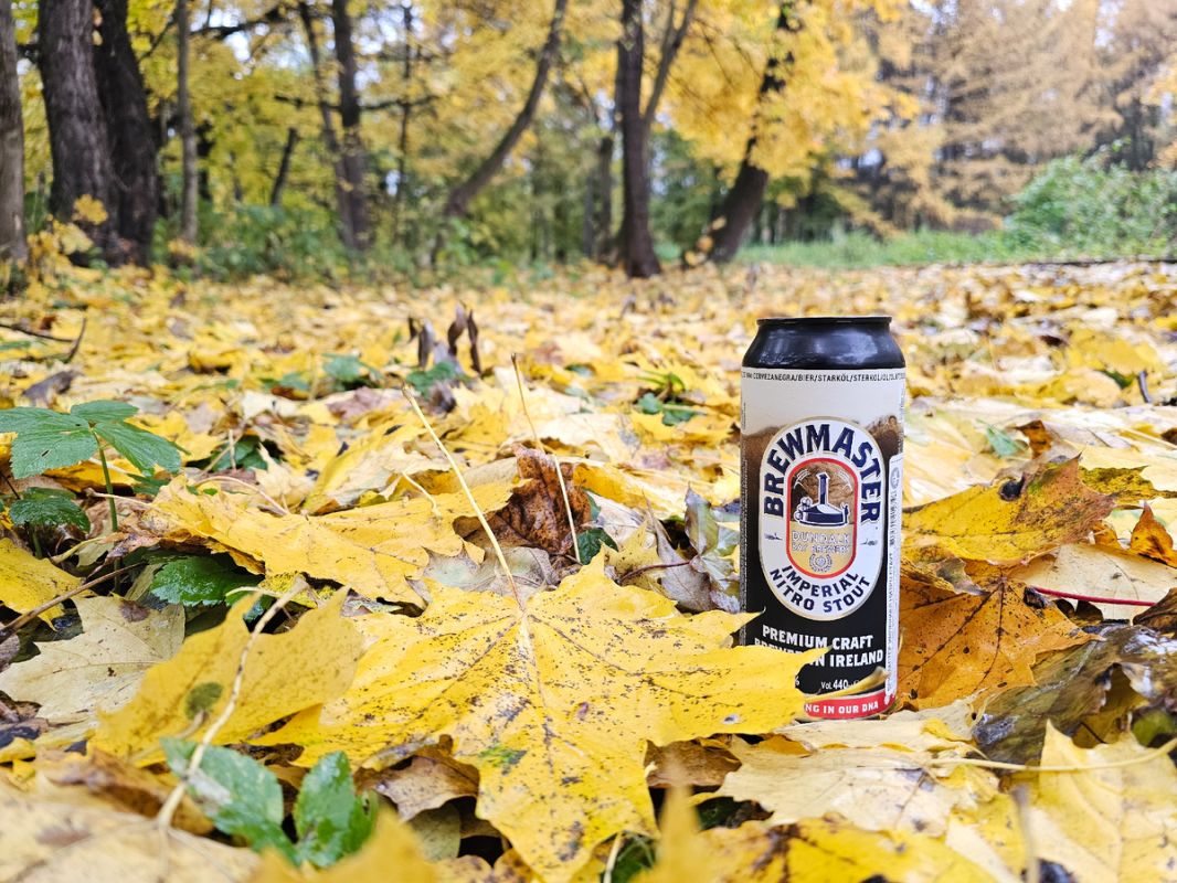 ���������� ��������� ����� �� �����: ������������ ����������