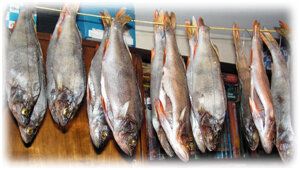 ��������� ������� ������: ������� ������� �����