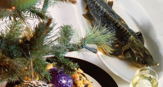 ��������� ����� � ���������: ��� ����������� ������ ������