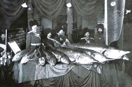 ����� ������� �����: ��� �������� ������� �� ���� � ��� ����������� �������