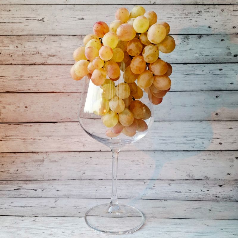 ������� ����: ����� ������������ � ����, ������� ����� �����������