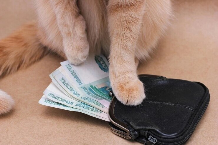 Что на самом деле влияет на человека: деньги или их отсутствие?