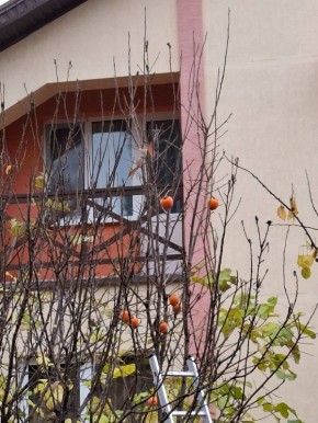 Как зима и весна переплетаются в новых реалиях нашей жизни