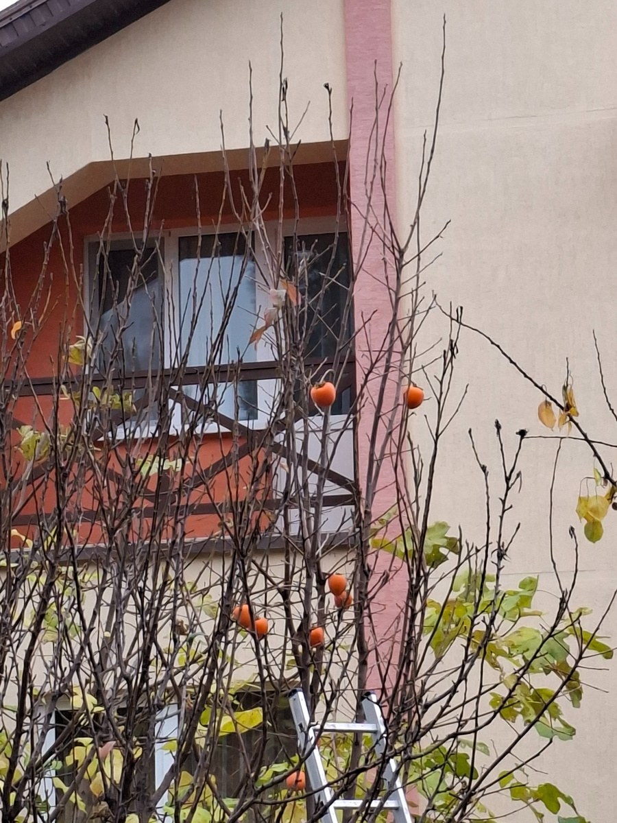 Как зима и весна переплетаются в новых реалиях нашей жизни