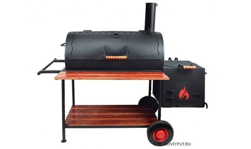 Барбекю: Как выбрать идеальную печь для активного отдыха