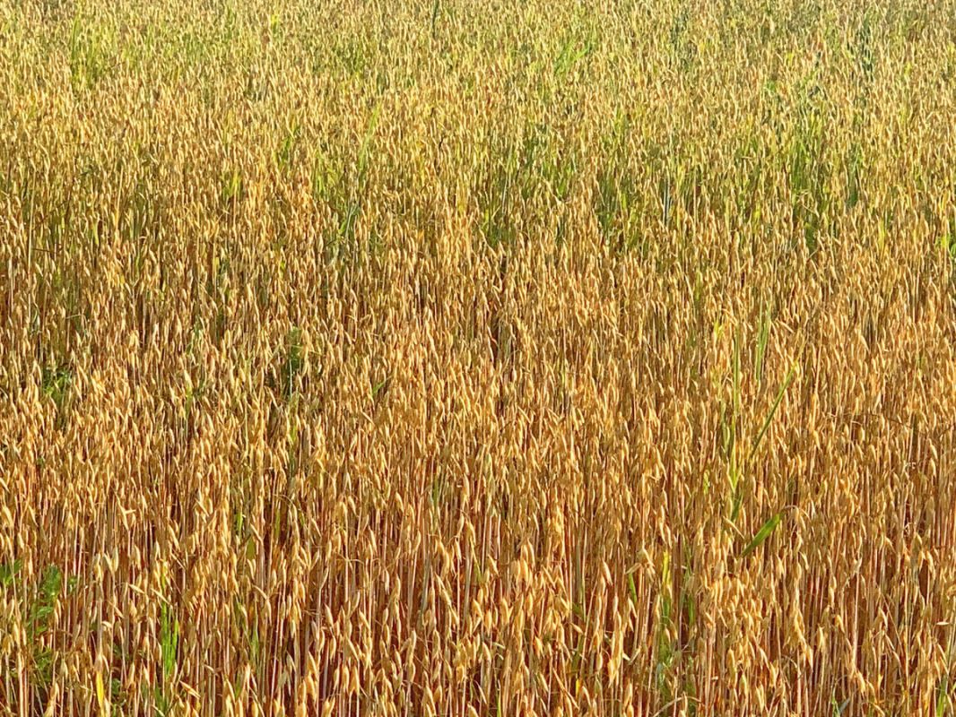 ����� ������������ � ������� ����: �� ����� �� ����� �������