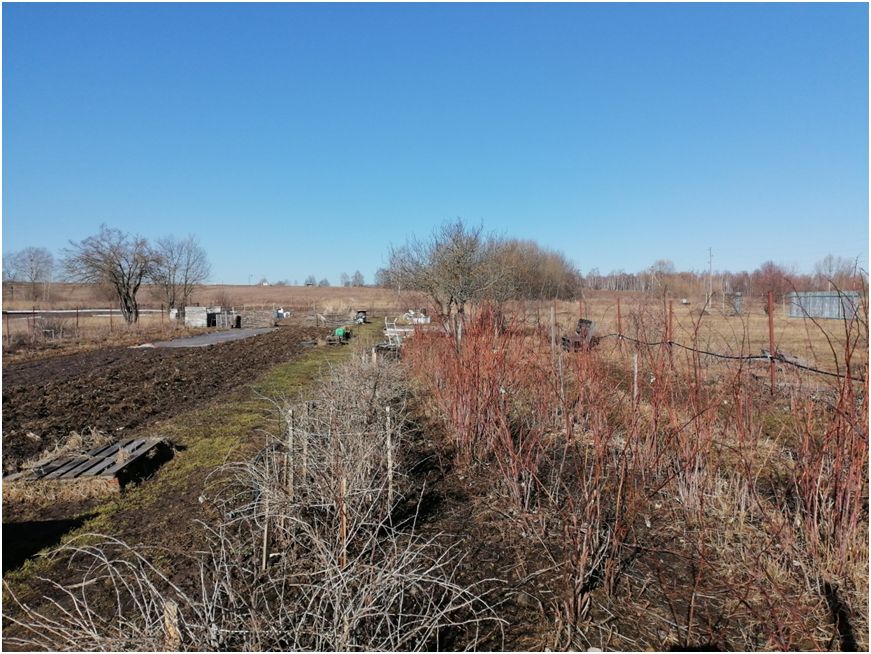 �������� �����: ��� ������ � ���� ���������� ����������� ����������