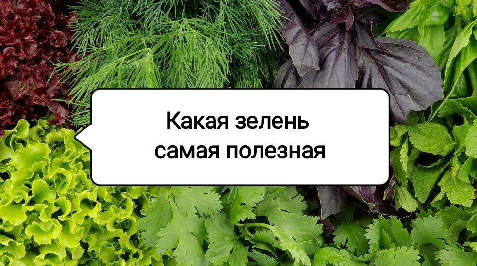 ������, ������� ������ ���� ��������: 5 ����������