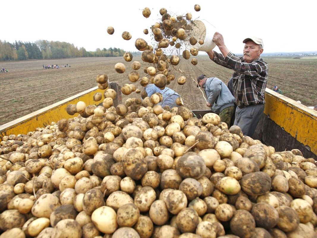 ������������ ���������: ������ ����� ��� ���������� �������������?