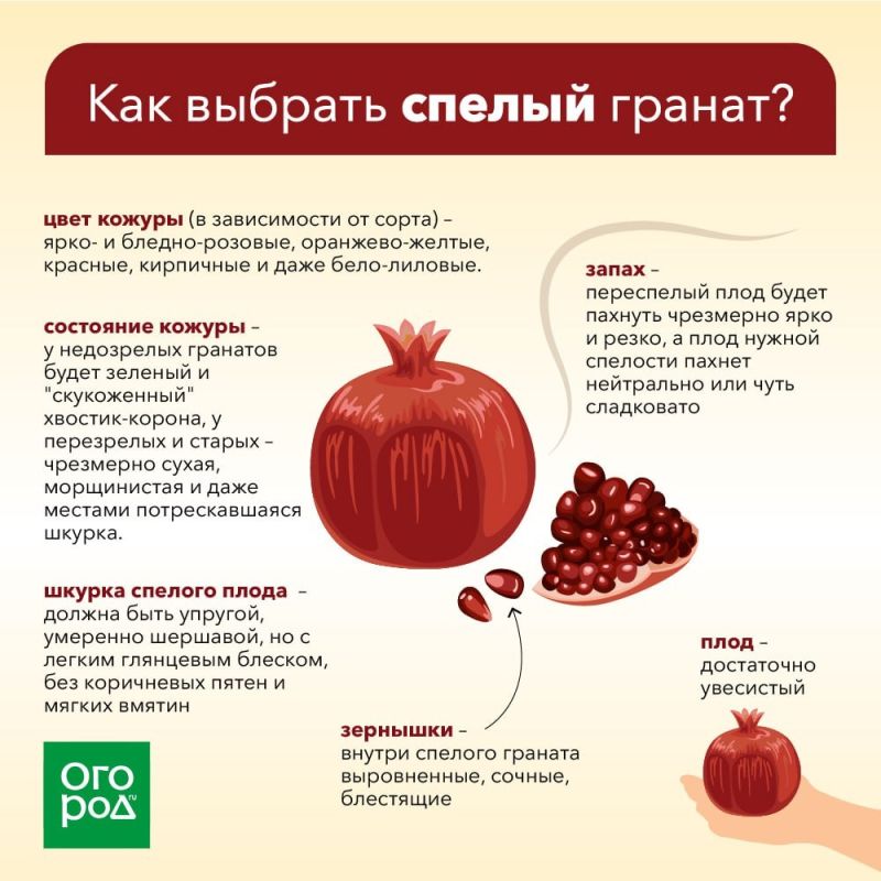 ������������ �������� �������: ������ ����� �������� ��� � ���� ������