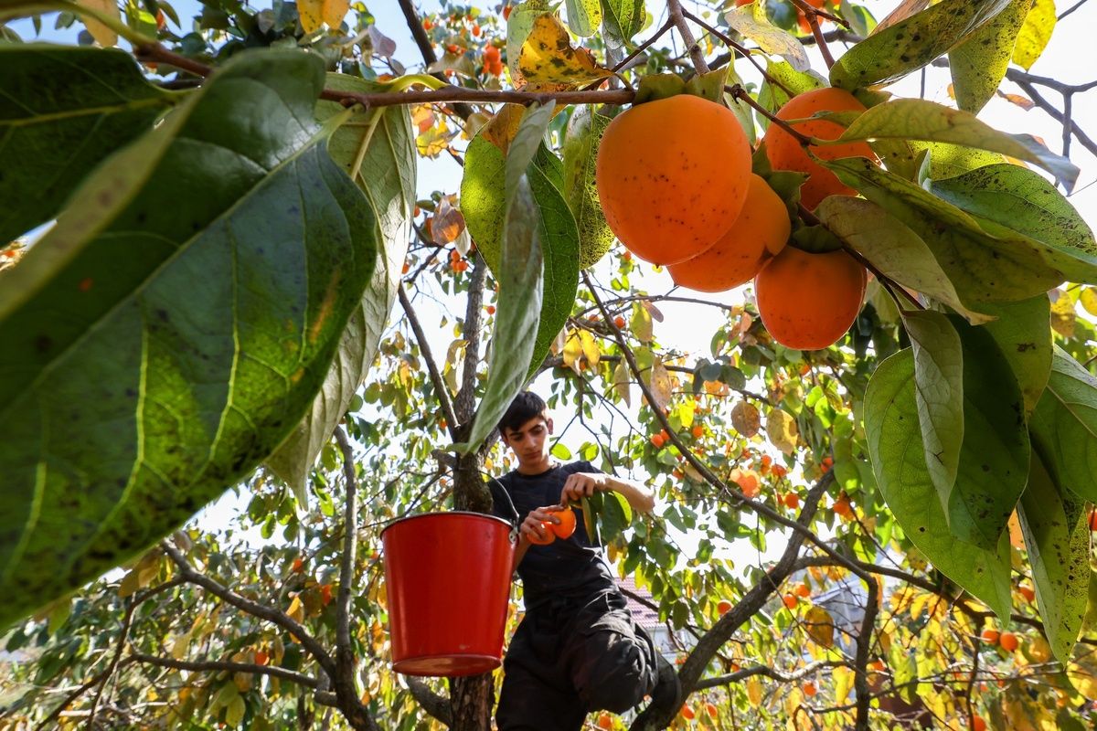 ������ ����� � ������� ���������� �� �������� �����