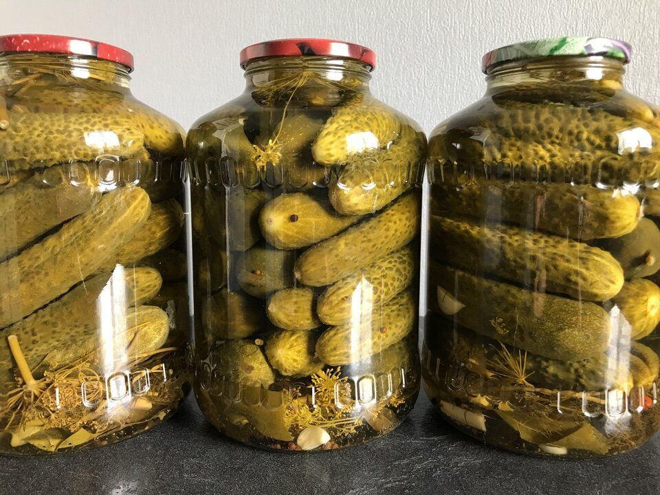 ������ ���� ����: ������� ��������� ������������ �������