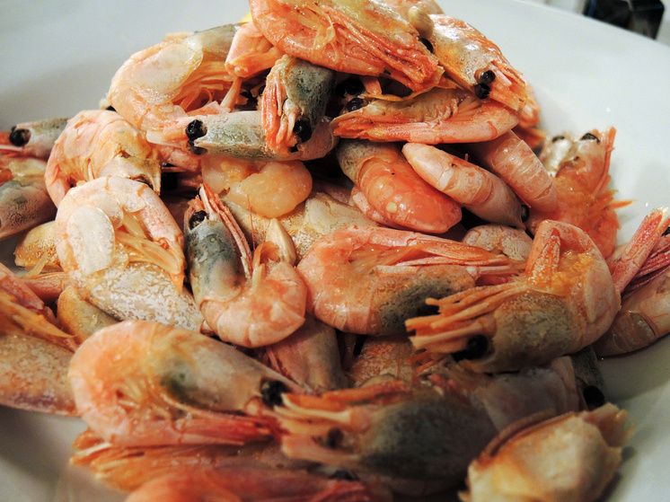 ����� �� ���� ������������ � ������� ����: ������ �����������