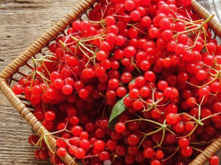 ����� ������: ��� ������� �������� ������ � �����������