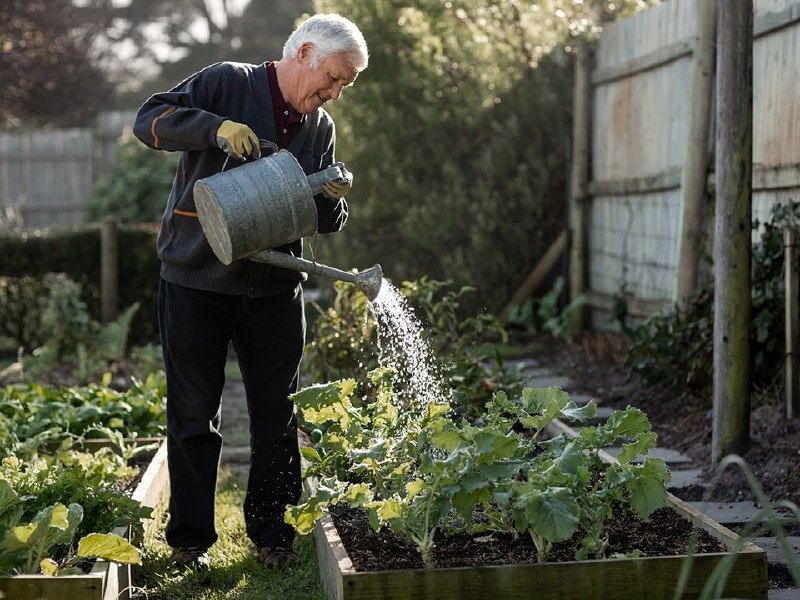 ������� ��� �������� �����: ������������ ������ ��������