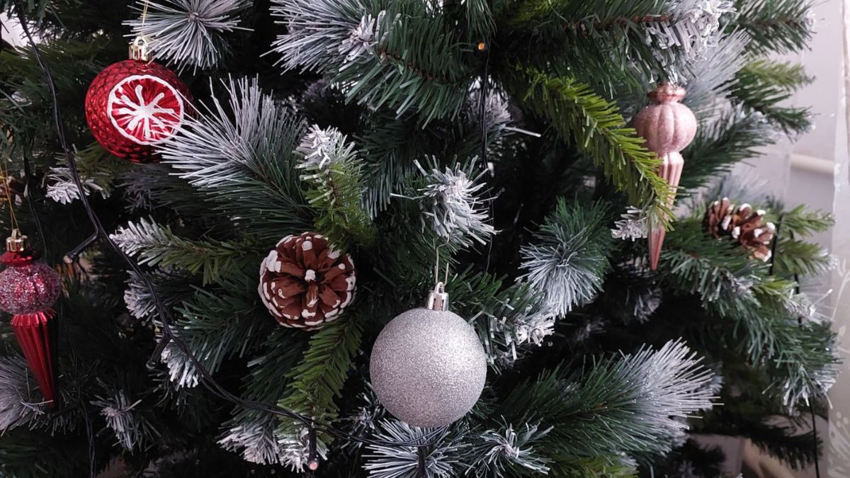 ������ ����� ���: �������� � ������� �������