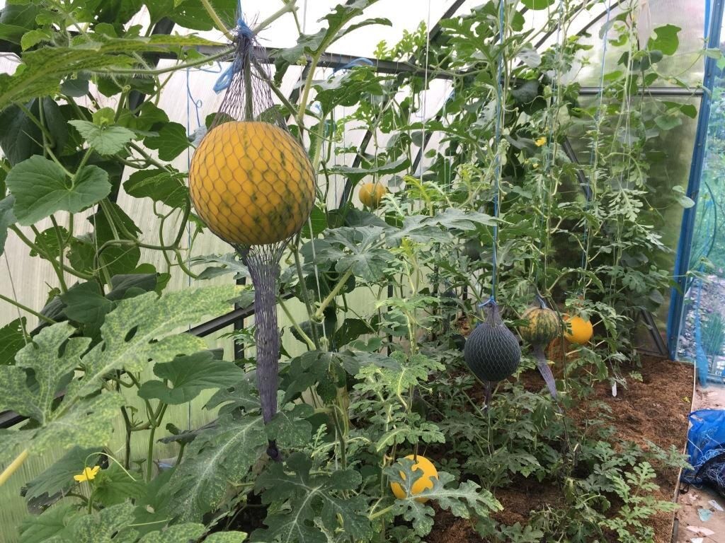 ��� ��������� ������� ������������ � �������� ��� ��� ������