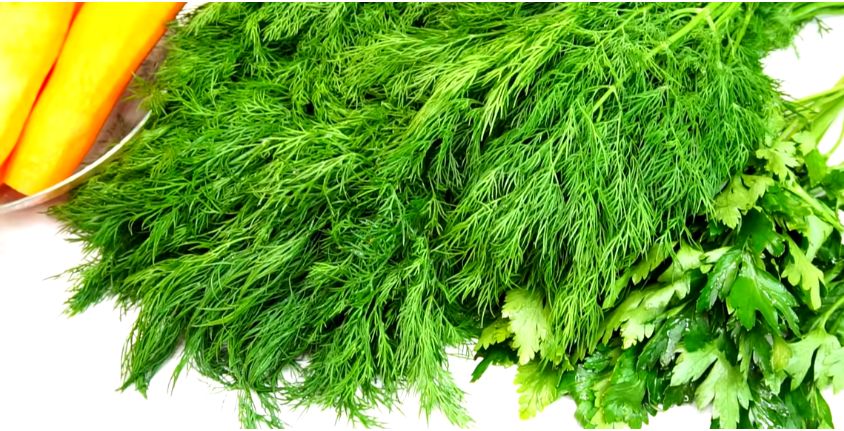 ������� ��������� �� ����: ����� ��� ���� �� ������